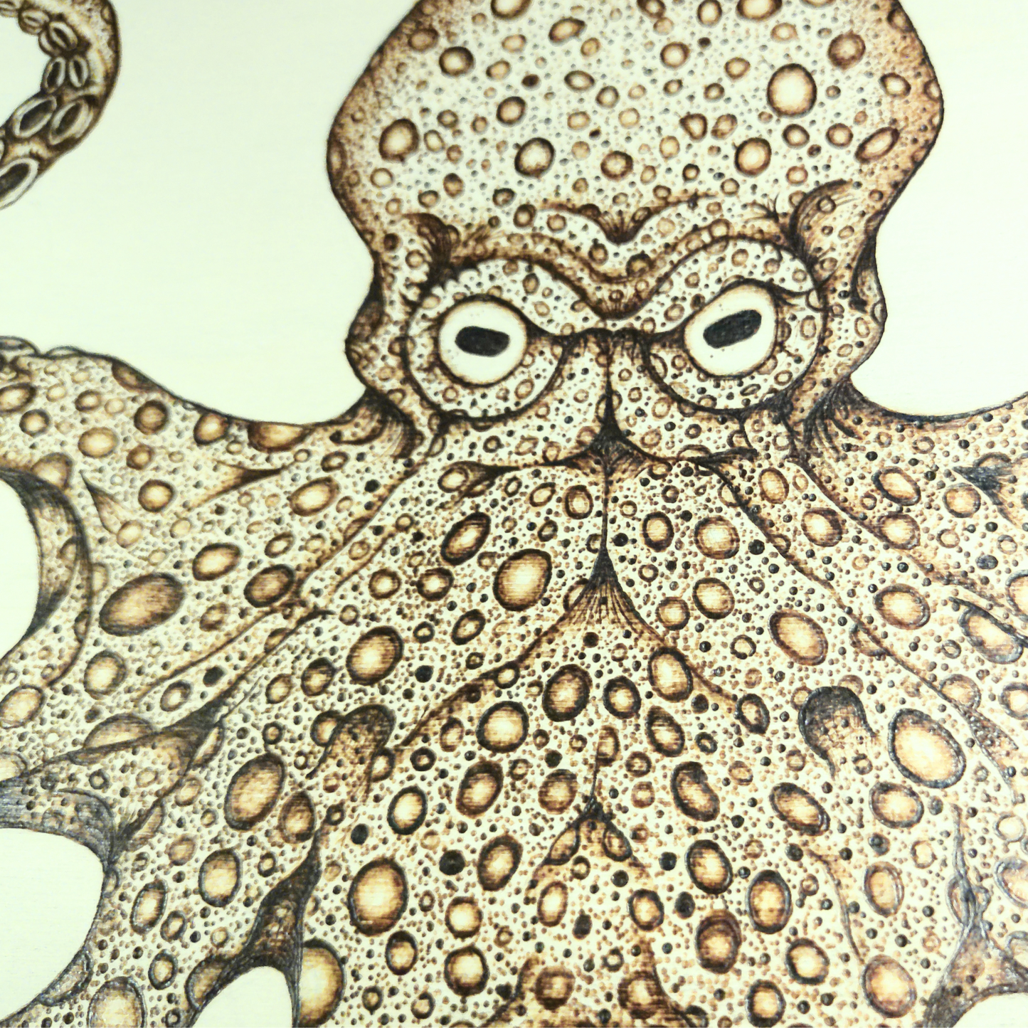 Wood Burned Octopus Art – 10" x 12.875" Nautical Pyrography on Natural Wood Panel